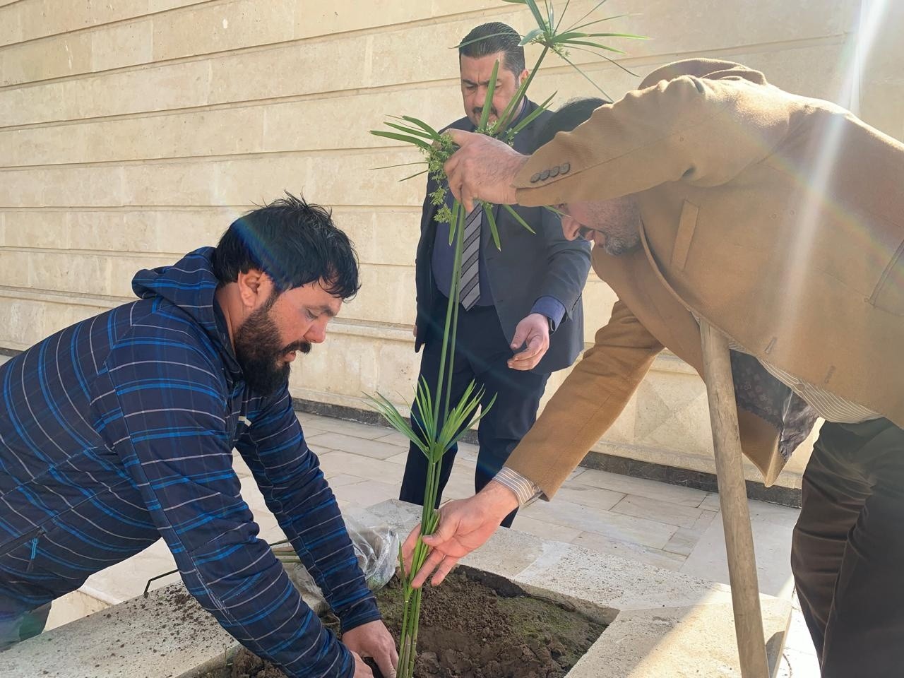 You are currently viewing مديرية التطوير الإداري في الموصل تطلق حملة تشجير لتعزيز البيئة المؤسسية